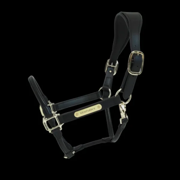 Anatomic Leather Halter - Black