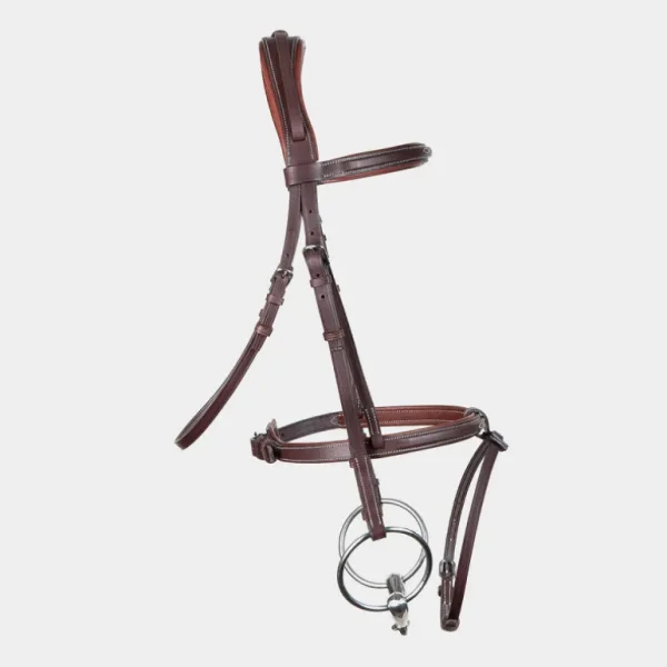 Chiberta Bridle