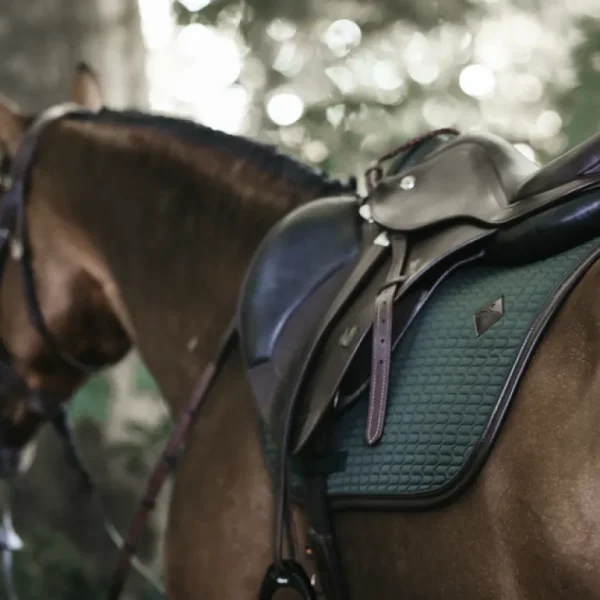 Colour Edition Leather Jump Saddle Pad - Olive