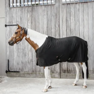 Cooler Fleece Rug - Black