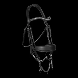 Crystal Harmonie Double Bridle