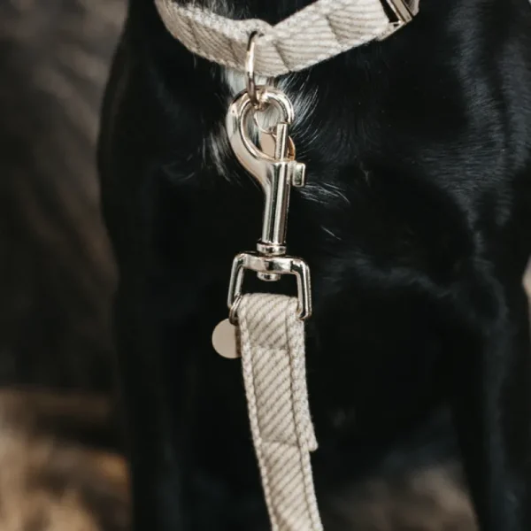 Dog Lead Wool - Beige