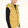 Hooded Down Padded Vest - Golden Ochre