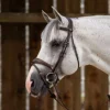 Hunter Anatomic Flash Noseband Bridle - Brown