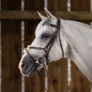 Hunter Fig 8 Noseband Bridle - Brown