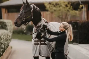 Mesh Fly Rug - Silver