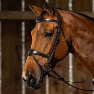 New English Anatomic Flash Noseband Bridle - Black