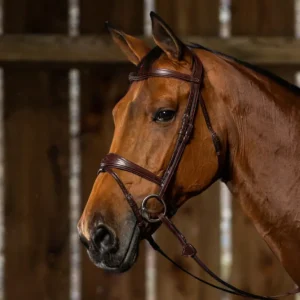 New English Anatomic Flash Noseband Bridle - Brown