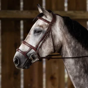 New English Double Noseband Bridle - Brown