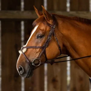 New English Figure 8 Noseband Bridle - Brown