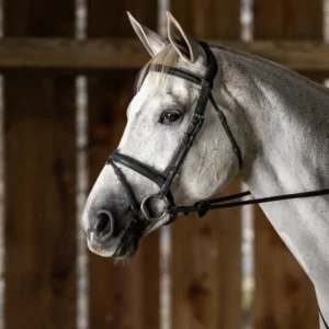 New English Flash Noseband Bridle - Black