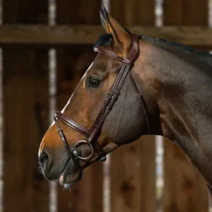 New English Flash Noseband Bridle - Brown