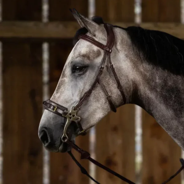 New English Hackamore Bridle - Brown