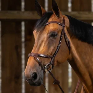 New English X-Fit Anatomic Bridle - Brown