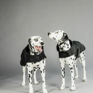 Original Dog Coat - Black