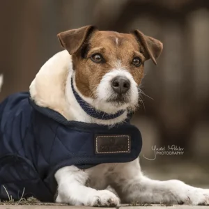 Original Dog Coat - Navy