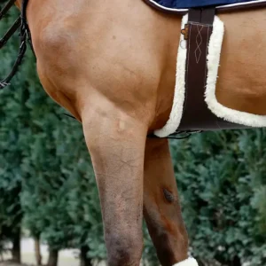 Sheepskin Stud Guard - Brown