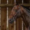 US Hunter Cavesson Noseband Bridle - Brown