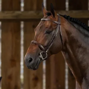 US Hunter Cavesson Noseband Bridle - Brown