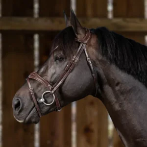 US Jumping Anatomic Flash Noseband Bridle - Brown