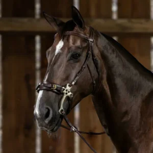 US Jumping Hackamore Bridle - Brown