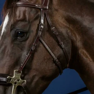 US Jumping Hackamore Bridle - Brown