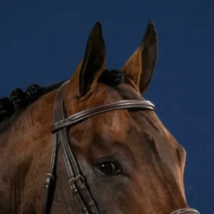 US Jumping Hunter Straight Browband without Pins - Brown