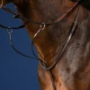 US Jumping Running Martingale - Brown