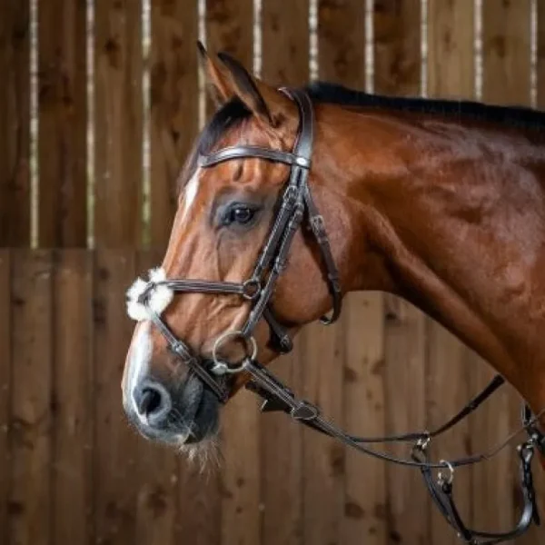 Working Figure 8 Noseband Bridle - Brown