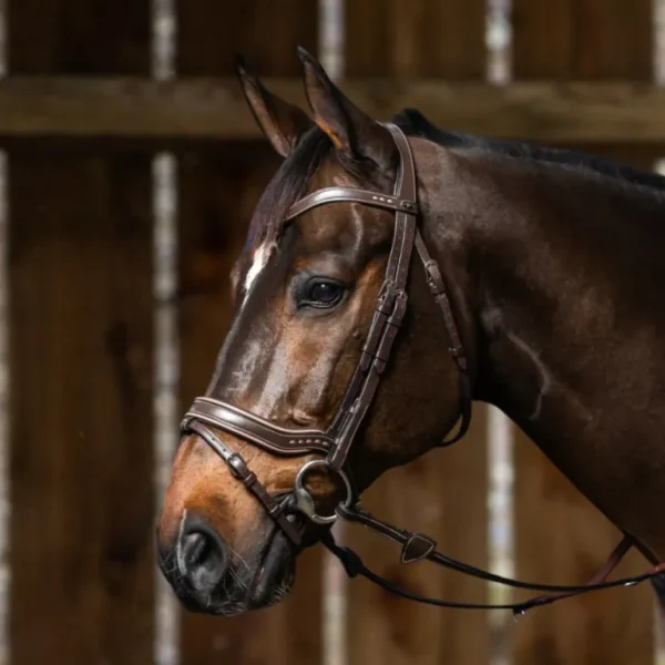 Working Fit Bridle - Brown