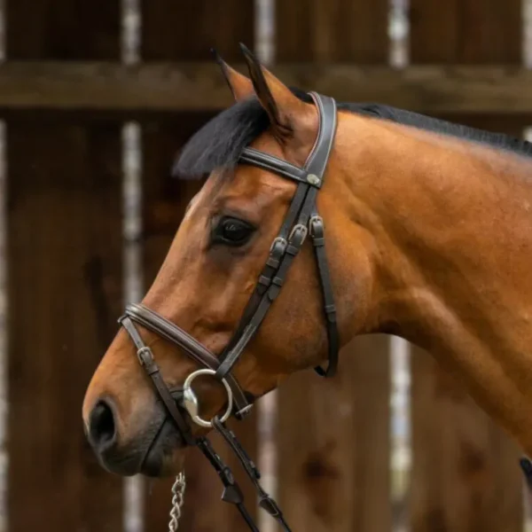 Working Flash Noseband Bridle - Brown