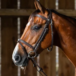 Working Flash Noseband Bridle with Snap Hooks - Brown