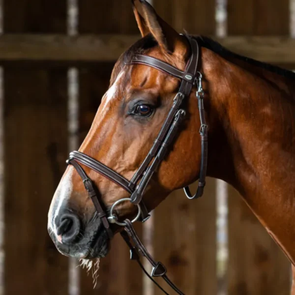 Working Flash Noseband Bridle with Snap Hooks - Brown