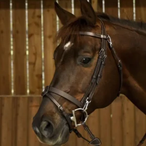 Working Flat Leather Bridle with Snap Hooks - Brown