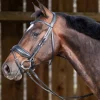 Working Matte Large Crank Noseband Bridle with Flash - Black