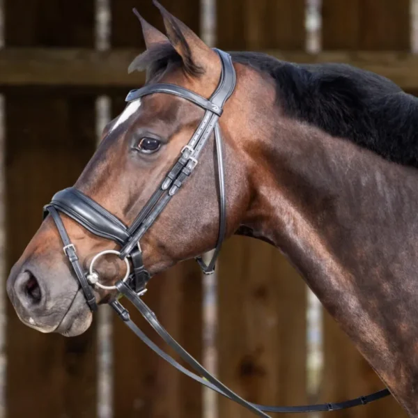 Working Matte Large Crank Noseband Bridle with Flash - Black