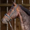 Working Patent Large Crank Noseband Bridle with White Padding and Flash - Black