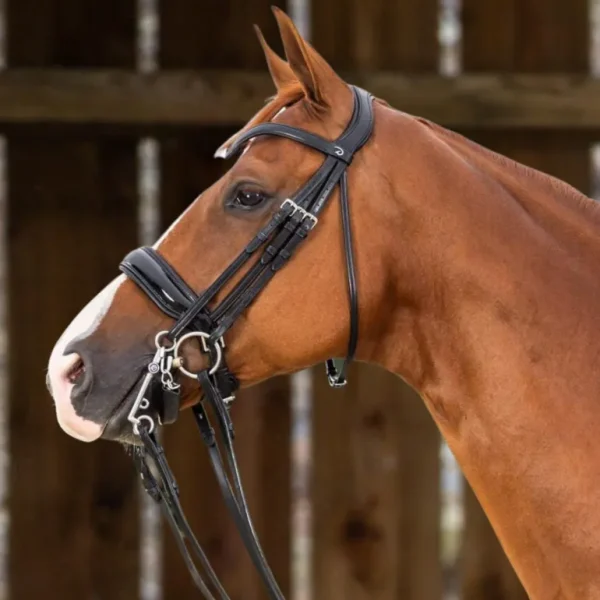 Working Patent Large Crank Noseband Double Bridle - Black