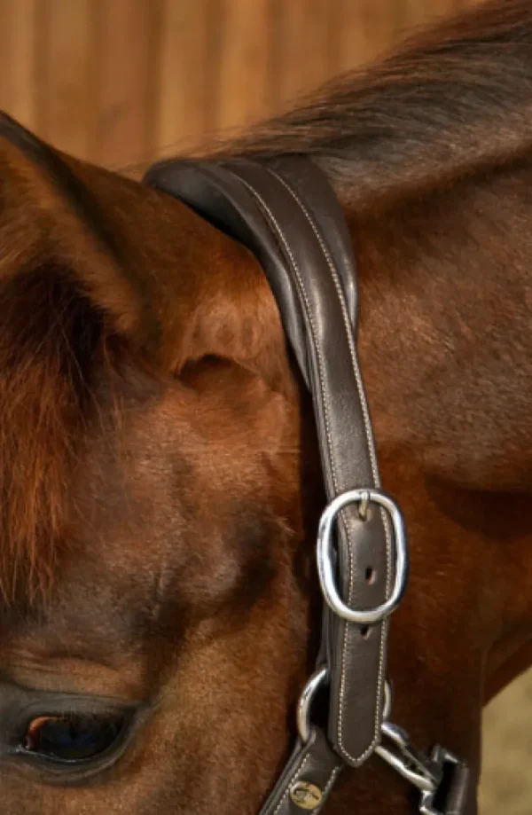 Working Soft Leather Headcollar - Black